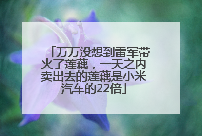 万万没想到雷军带火了莲藕，一天之内卖出去的莲藕是小米汽车的22倍