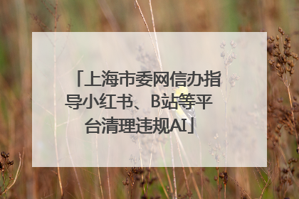 上海市委网信办指导小红书、B站等平台清理违规AI