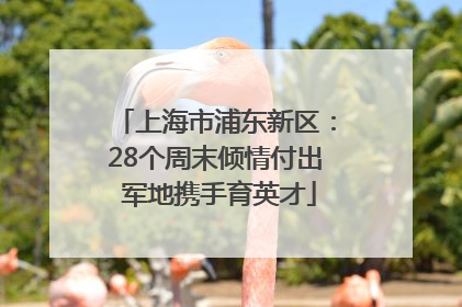 上海市浦东新区：28个周末倾情付出 军地携手育英才