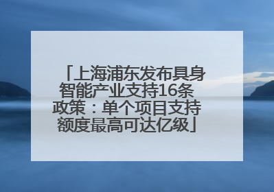 上海浦东发布具身智能产业支持16条政策：单个项目支持额度最高可达亿级