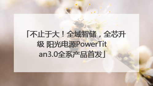 不止于大！全域智储，全芯升级 阳光电源PowerTitan3.0全系产品首发