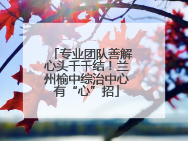 专业团队善解心头千千结！兰州榆中综治中心有“心”招