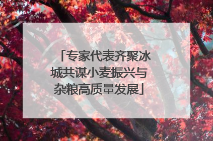 专家代表齐聚冰城共谋小麦振兴与杂粮高质量发展