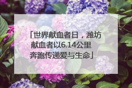 世界献血者日，潍坊献血者以6.14公里奔跑传递爱与生命