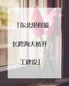 东北里程最长跨海大桥开工建设