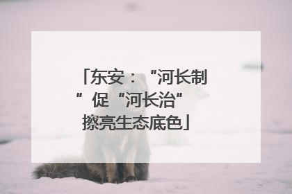 东安：“河长制”促“河长治” 擦亮生态底色