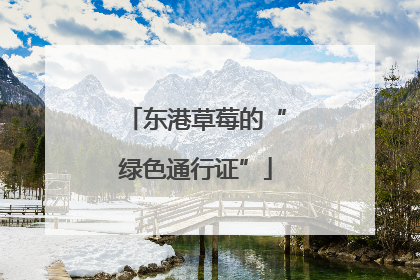 东港草莓的“绿色通行证”