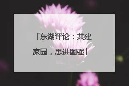 东湖评论：共建家园，思进图强