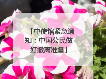 中使馆紧急通知：中国公民做好撤离准备