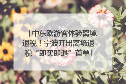 中东欧游客体验离境退税！宁波开出离境退税“即买即退”首单