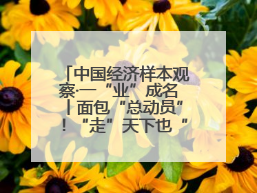 中国经济样本观察·一“业”成名丨面包“总动员”!“走”天下也“香”家乡