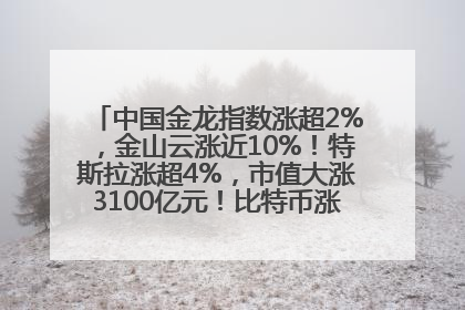 中国金龙指数涨超2%，金山云涨近10%！特斯拉涨超4%，市值大涨3100亿元！比特币涨回11万美元关口