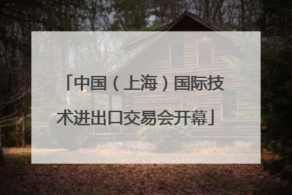 中国（上海）国际技术进出口交易会开幕