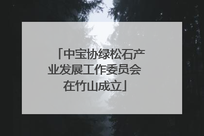 中宝协绿松石产业发展工作委员会在竹山成立