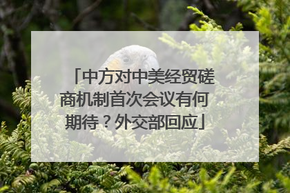中方对中美经贸磋商机制首次会议有何期待？外交部回应