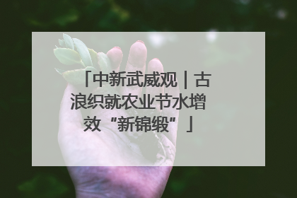 中新武威观｜古浪织就农业节水增效“新锦缎”