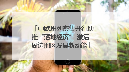 中欧班列密集开行助推“落地经济” 激活周边地区发展新动能