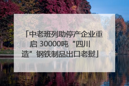 中老班列助停产企业重启 30000吨“四川造”钢铁制品出口老挝