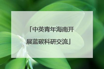 中英青年海南开展蓝碳科研交流