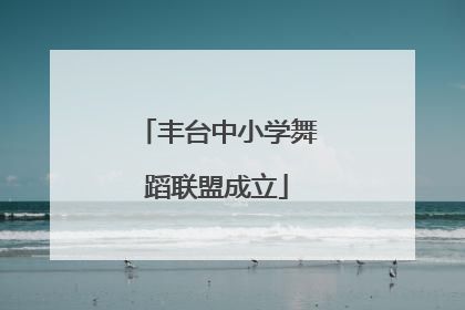 丰台中小学舞蹈联盟成立
