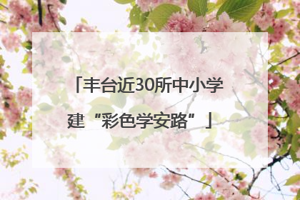 丰台近30所中小学建“彩色学安路”