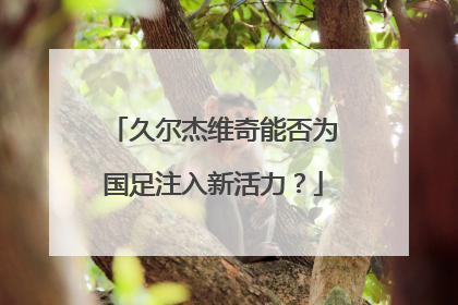 久尔杰维奇能否为国足注入新活力？