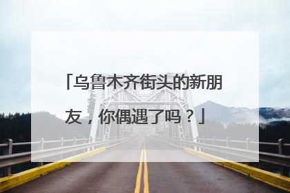 乌鲁木齐街头的新朋友，你偶遇了吗？
