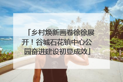 乡村焕新画卷徐徐展开！谷城石花镇中心公园奋进建设初显成效