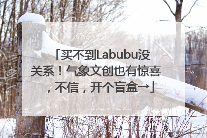 买不到Labubu没关系！气象文创也有惊喜，不信，开个盲盒→