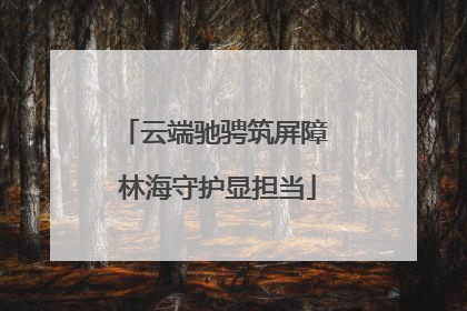 云端驰骋筑屏障 林海守护显担当