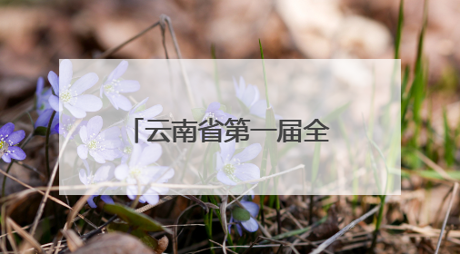 云南省第一届全民健身大赛（四赛区）火热比拼
