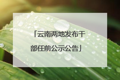 云南两地发布干部任前公示公告