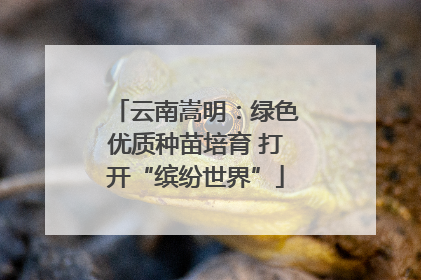 云南嵩明：绿色优质种苗培育 打开“缤纷世界”