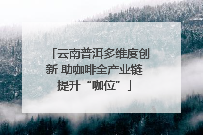 云南普洱多维度创新 助咖啡全产业链提升“咖位”