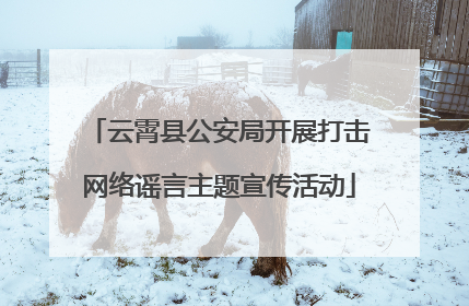 云霄县公安局开展打击网络谣言主题宣传活动
