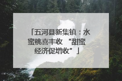 五河县新集镇：水蜜桃喜丰收 “甜蜜经济促增收”