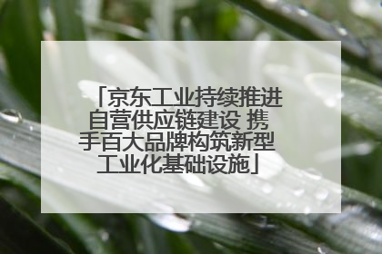 京东工业持续推进自营供应链建设 携手百大品牌构筑新型工业化基础设施