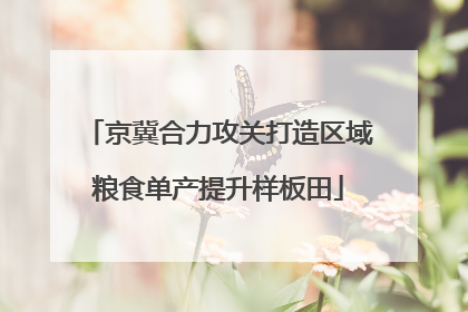 京冀合力攻关打造区域粮食单产提升样板田
