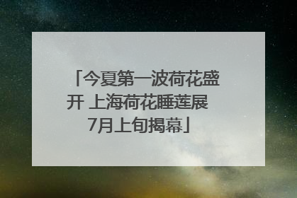 今夏第一波荷花盛开 上海荷花睡莲展7月上旬揭幕