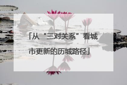 从“三对关系”看城市更新的历城路径