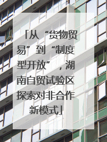 从“货物贸易”到“制度型开放”，湖南自贸试验区探索对非合作新模式