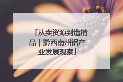 从卖资源到造精品｜黔西南州铝产业发展观察