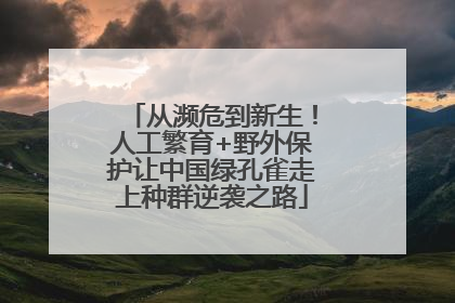 从濒危到新生！人工繁育+野外保护让中国绿孔雀走上种群逆袭之路