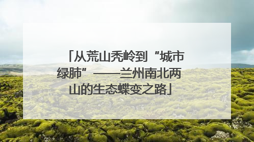 从荒山秃岭到“城市绿肺”——兰州南北两山的生态蝶变之路
