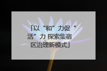 以“和”力促“活”力 探索集宿区治理新模式