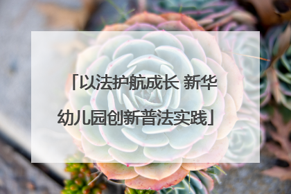 以法护航成长 新华幼儿园创新普法实践