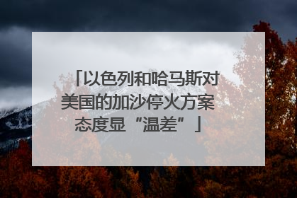 以色列和哈马斯对美国的加沙停火方案态度显“温差”