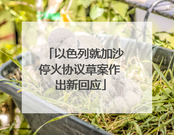以色列就加沙停火协议草案作出新回应