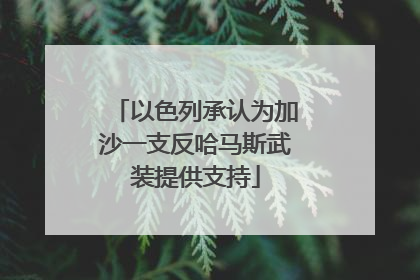 以色列承认为加沙一支反哈马斯武装提供支持