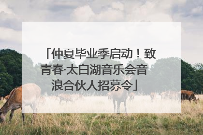 仲夏毕业季启动！致青春·太白湖音乐会音浪合伙人招募令